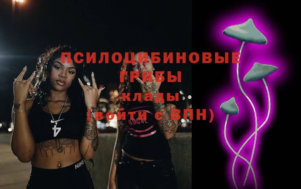 эйфоретик Арсеньев