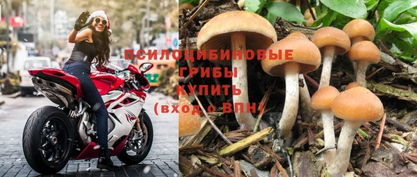 каннабис Аркадак