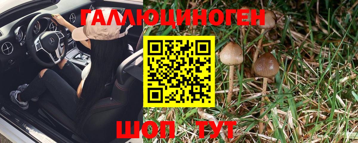 Галлюциногенные грибы Psilocybe  Вход с VPN  Радужный 